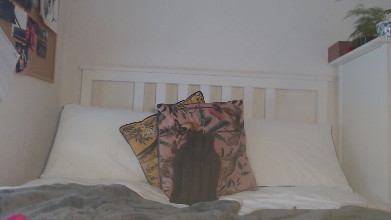 SeductiveKaty's Streamate show and profile