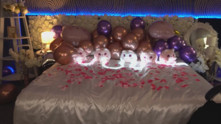 HappyFlowerr's Streamate show and profile